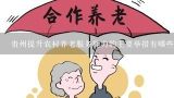 贵州提升农村养老服务能力的主要举措有哪些,广州市新型农村社会养老保险分几个档次缴费呢？