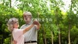 山东枣庄个人养老保险金查询,为什么衡阳市养老保险网址打不开?