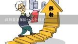 深圳养老保险分几个档次,广东乡镇公共服务中心是干什么的