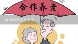 台湾的养老金多少,台湾现阶段的经济怎么样，有哪些支柱产业？