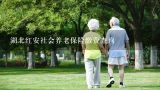 湖北红安社会养老保险缴费查询,湖北省的个人社会养老保险省内联网了吗？