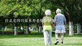 什么是四川基本养老保险制度？