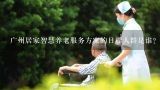 广州居家智慧养老服务方案的目标人群是谁?