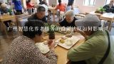 广州智慧化养老服务的政策法规如何影响?