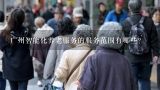 广州智能化养老服务的服务范围有哪些?
