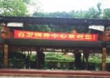重庆市沙坪坝区歌乐山百岁颐养中心