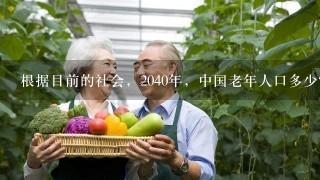 根据目前的社会，2040年，中国老年人口多少？