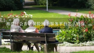 湘潭社会养老保险网上服务平台怎么停保