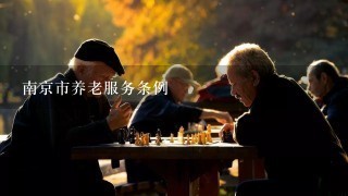 南京市养老服务条例