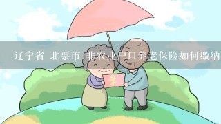 辽宁省 北票市 非农业户口养老保险如何缴纳?