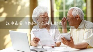 汉中市养老保险怎么网上缴费