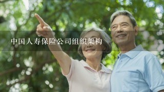 中国人寿保险公司组织架构