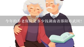 今年的养老保险是多少钱湖南省邵阳市武冈？