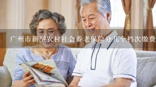 广州市新型农村社会养老保险分几个档次缴费呢？