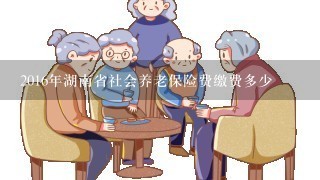 2016年湖南省社会养老保险费缴费多少