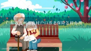广东省连州市农村户口养老保险怎样办理