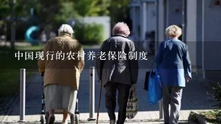 中国现行的农村养老保险制度