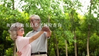 衡阳市衡东县养老保险查询