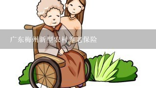 广东梅州新型农村养老保险