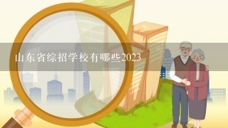 山东省综招学校有哪些2023