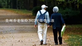 贵州养老保险2022年缴费标准