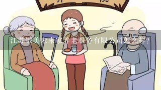 江苏银美未来家养老服务有限公司怎么样？