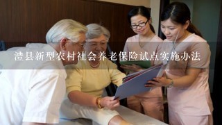 澧县新型农村社会养老保险试点实施办法