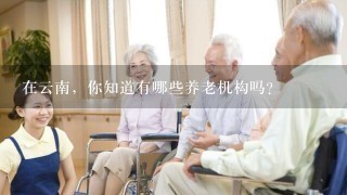 在云南，你知道有哪些养老机构吗？