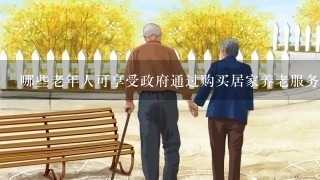 哪些老年人可享受政府通过购买居家养老服务的方式提供帮助？
