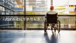 武汉养老院半护理标准
