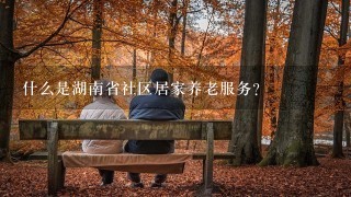 什么是湖南省社区居家养老服务？
